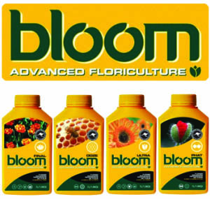 Bloom