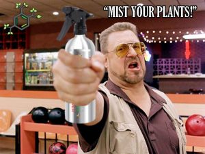 BigLebowski