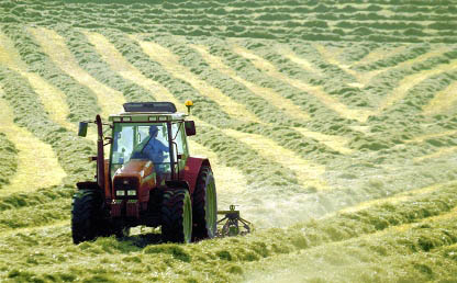 traditional farming