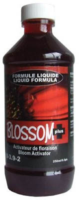 blossom 250 ml