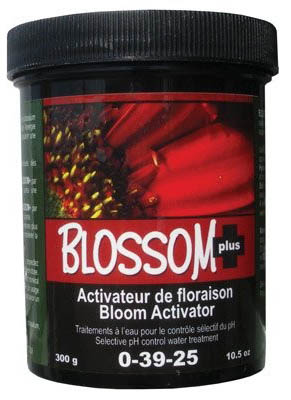 blossom plus